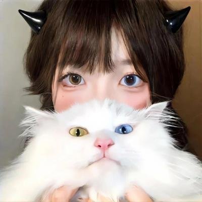 百花缭乱 武士少女 特典